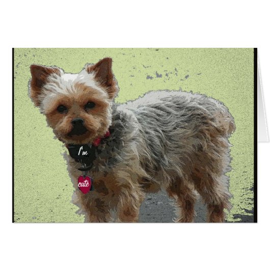 Yorkshire Terrier Card (Front Horizontal)