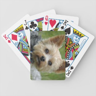 Yorkshire Terrier Card Decks