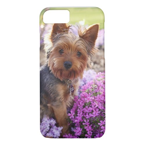 Yorkshire Terrier iPhone 87 Case