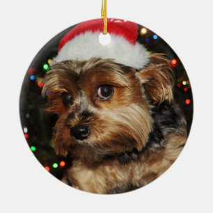 Yorkshire terrier ceramic ornament