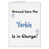 Yorkshire Terrier Charge (Front)