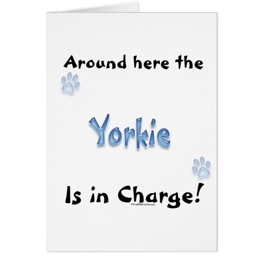 Yorkshire Terrier Charge Cards (Front)