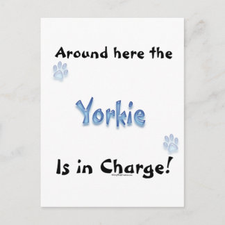 Yorkshire Terrier Charge Postcard