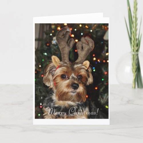 Yorkshire Terrier Christmas Card