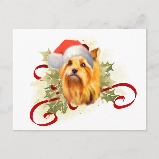 Yorkshire Terrier Christmas Postcard (Front)