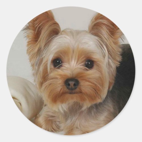 Yorkshire Terrier Classic Round Sticker