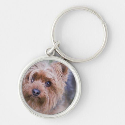 Yorkshire Terrier Closeup Keychain