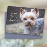 Yorkshire Terrier Custom Birthday Card<br><div class="desc">Yorkshire terrier birthday card greeting. Simple “Happy Birthday” text with name or “sweetheart”, and a place for a signature. A little Yorkie’s face is the adorable image. Perfect for giving to a man or woman. The dog photo can be replaced with one of your own. If needed, the text color...</div>