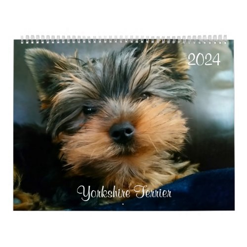 Yorkshire Terrier Cute Yorkies  2024 Calendar