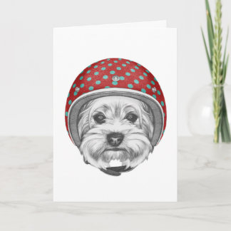 Yorkshire Terrier Daredevil Card