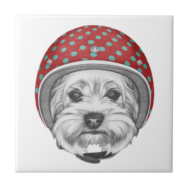 Yorkshire Terrier Daredevil Ceramic Tile (Front)