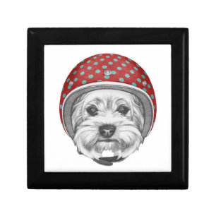 Yorkshire Terrier Daredevil Gift Box