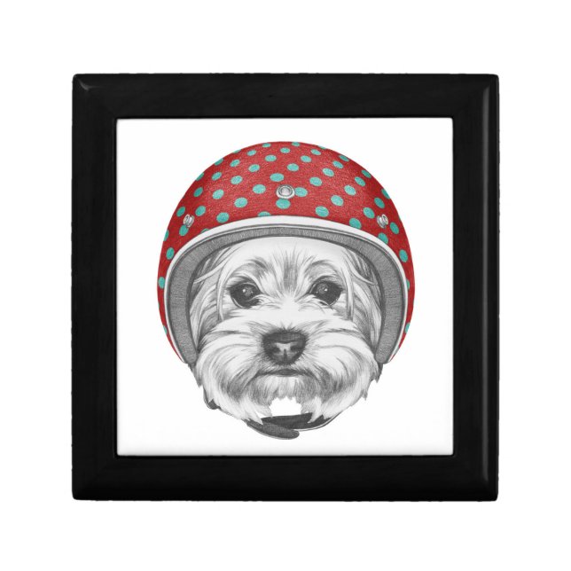 Yorkshire Terrier Daredevil Gift Box (Front)