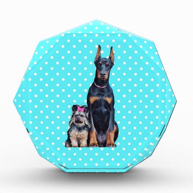 Yorkshire Terrier Doberman Blue Polka Dots Acrylic Award (Front)