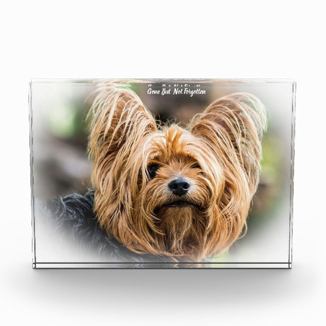 Yorkshire Terrier Dog. Acrylic Award (Front)