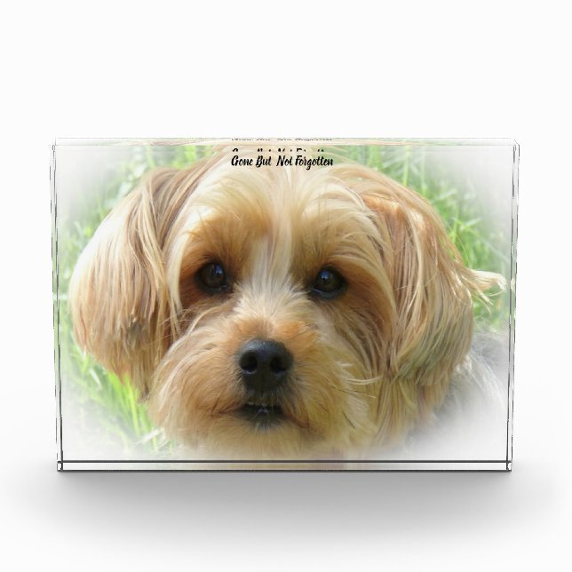 Yorkshire Terrier Dog. Acrylic Award (Front)