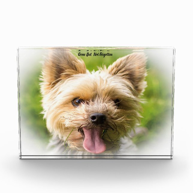 Yorkshire Terrier Dog. Acrylic Award (Front)
