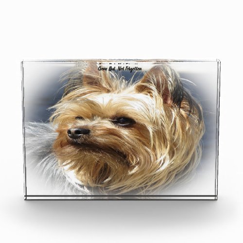 Yorkshire Terrier Dog Acrylic Award