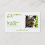 Yorkshire Terrier Dog Business Card