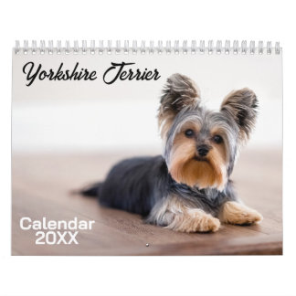 Yorkshire Terrier Dog Calendar 2026
