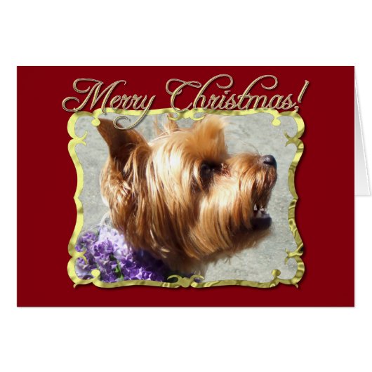 Yorkshire Terrier dog Cards (Front Horizontal)