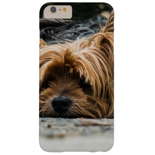 Yorkshire Terrier Dog Barely There iPhone 6 Plus Case