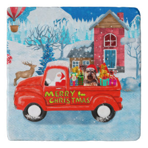 Yorkshire Terrier Dog Christmas Delivery Truck Trivet