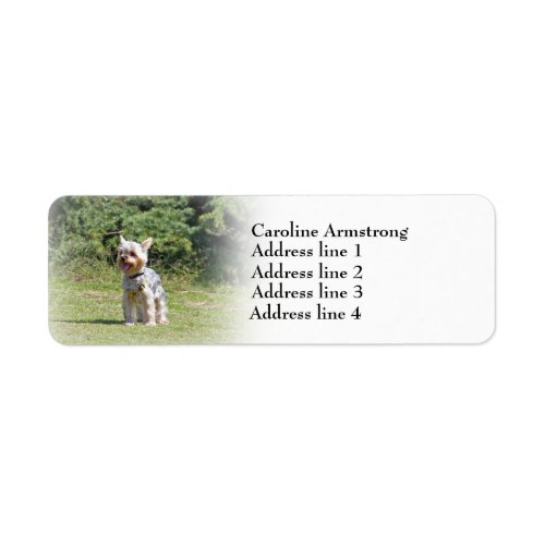 Yorkshire Terrier dog custom return address labels