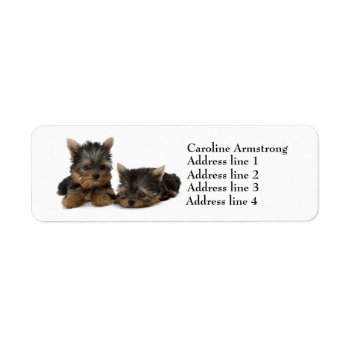 Yorkshire Terrier Dog Custom Return Address Labels by roughcollie at Zazzle
