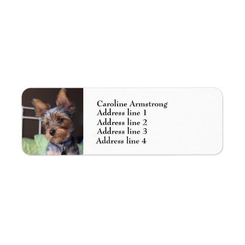 Yorkshire Terrier dog custom return address labels