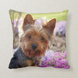 Yorkshire Terrier dog cute photo cushion pillow