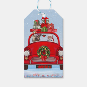 Yorkshire Terrier Dog In Car With Santa Claus Gift Tags