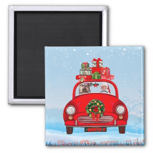 Yorkshire Terrier Dog In Car With Santa Claus Magnet