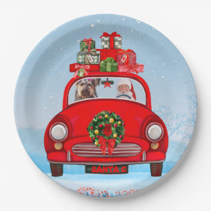 Yorkshire Terrier Dog In Car With Santa Claus Paper Plates
