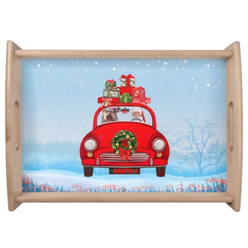 Yorkshire Terrier Dog In Car With Santa Claus Serving Tray