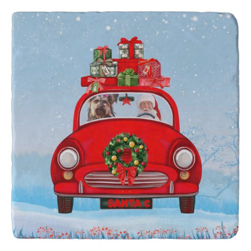 Yorkshire Terrier Dog In Car With Santa Claus  Trivet