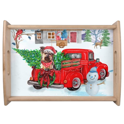 Yorkshire Terrier Dog In Christmas Delivery Truck Serving Tray