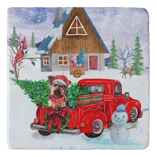 Yorkshire Terrier Dog In Christmas Delivery Truck Trivet