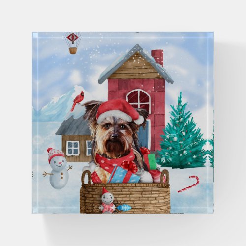 Yorkshire Terrier Dog In snow Christmas Dog House Paperweight