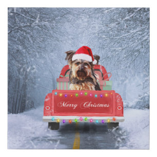 Yorkshire Terrier Dog in Snow sitting in Christmas Faux Canvas Print