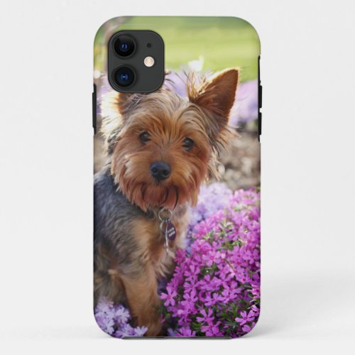 Yorkshire Terrier dog  iphone 5 case mate