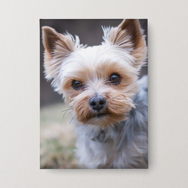 Yorkshire terrier, Dog, Pet Button (Front)