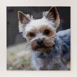 Yorkshire terrier, Dog, Pet Jigsaw Puzzle