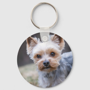 Yorkshire terrier, Dog, Pet Keychain