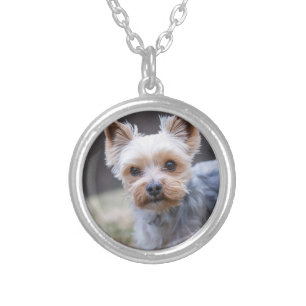 Yorkshire terrier, Dog, Pet Silver Plated Necklace