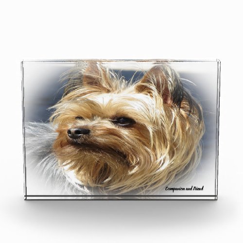 Yorkshire Terrier Dog Photo Block