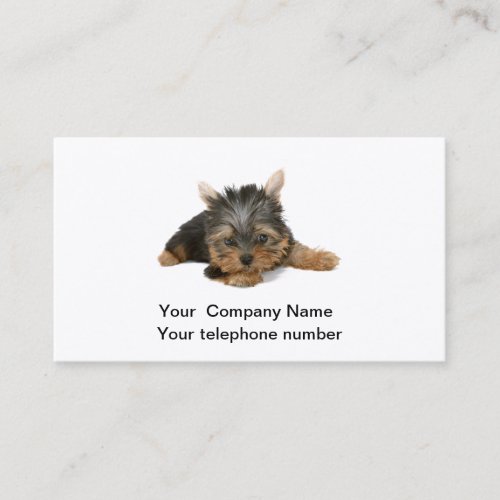 Yorkshire Terrier dog photo business card