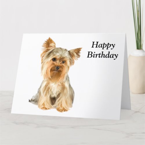 Yorkshire Terrier dog photo custom birthday card