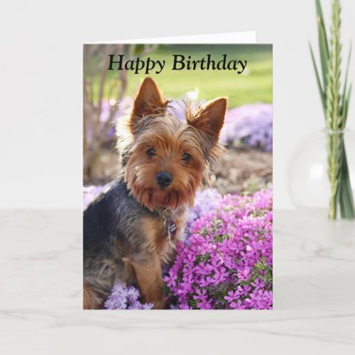 Yorkshire Terrier dog photo custom birthday card