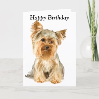 Yorkshire Terrier Dog Photo Custom Birthday Card by roughcollie at Zazzle